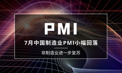 7月中国制造业PMI小幅回落至49